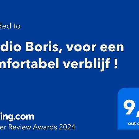 Апартаменты Studio Boris, Voor Een Comfortabel Verblijf ! Миделкерк Экстерьер фото